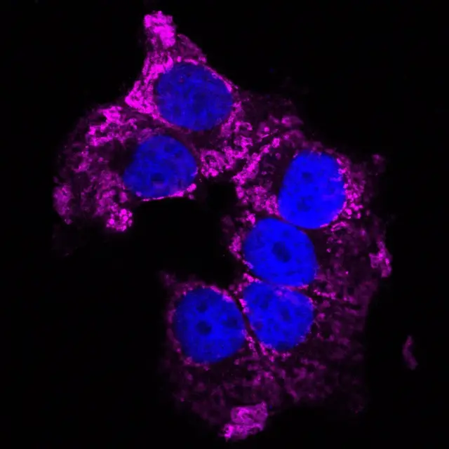 Procesos biologicos